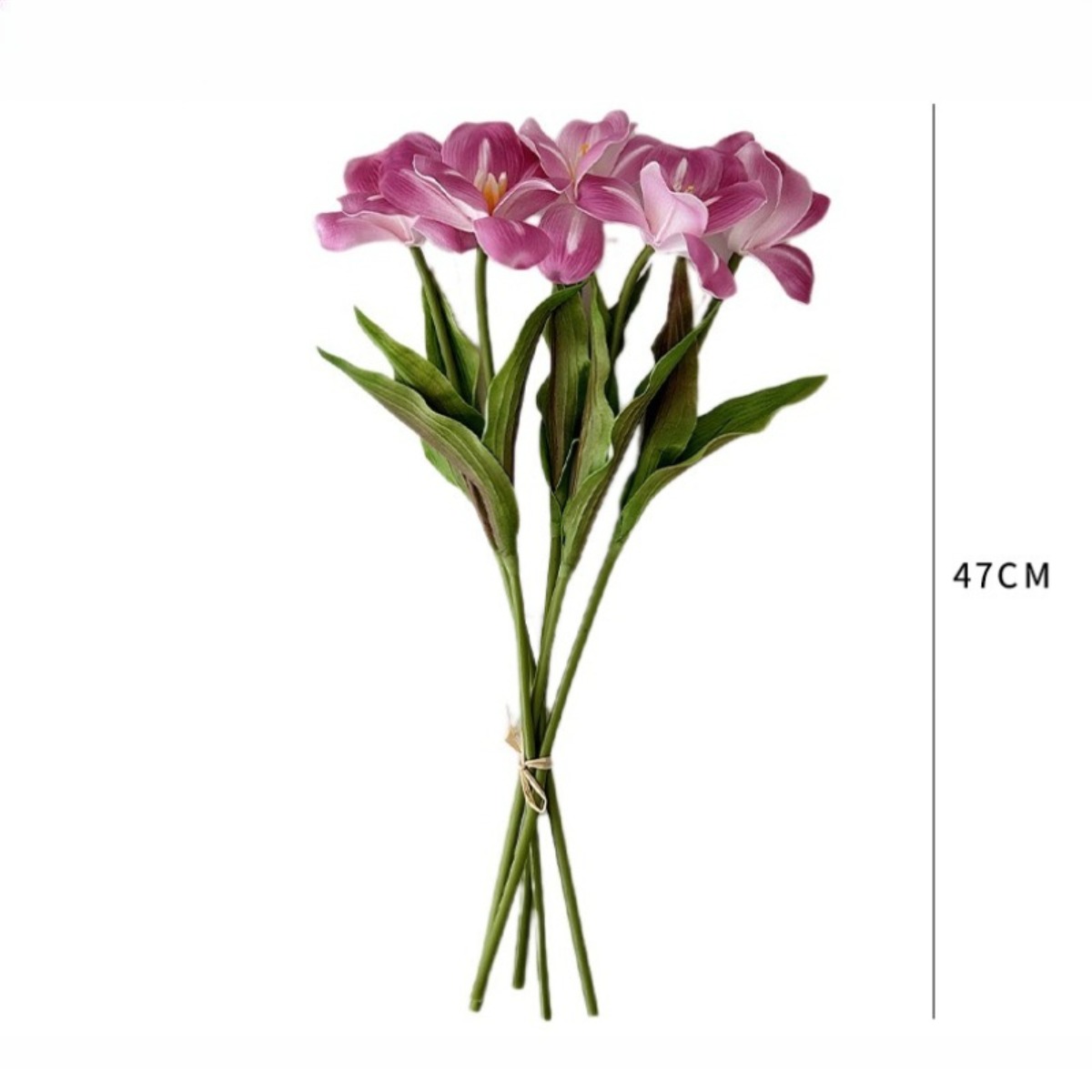 Tulipa Aberta de 18,5 Polegada - Photography Graduation avaliação e preço