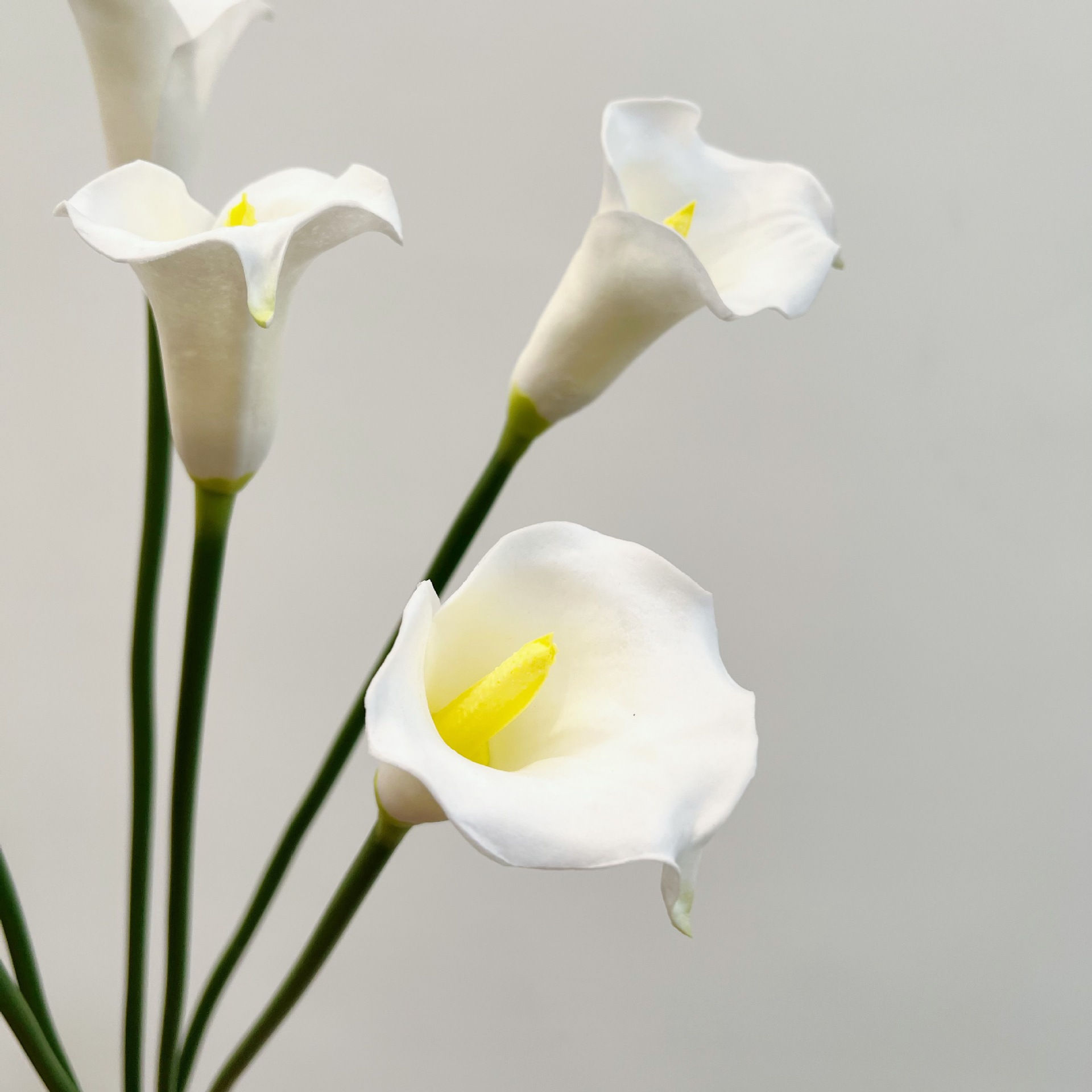 Flor Artificial de Lírio Calla - Photography Graduation avaliação e preço