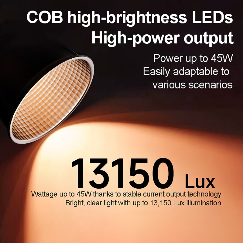 Luz de Vídeo RGB de 60W, Luz d - Photography Natural Lighting avaliação e preço